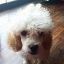 Alexia Cespedes Jorge