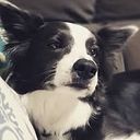 ariadna_sieres_ojeda