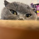 Phailin Loetchayanan