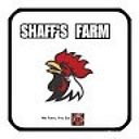 shaffsfarm