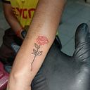 Adonis Daniel Suárez Suárez