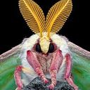 Júlia Tejedor Ortega