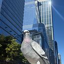 William Pisano-Orduno