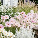 Vivian Lizbeth Hermández Reza