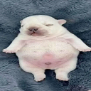 Gabriel Placito Llamas