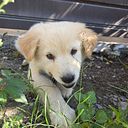 nathan Vazquez Alonso