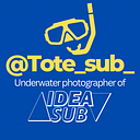 Jose Maria Meseguer Medina