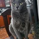 Orlando Rengifo Avila