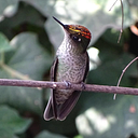 emprendimientohechoencasa