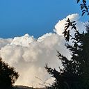 Violeta ana Gordano Raccagni