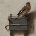 Nawrast S.Abdalwahab