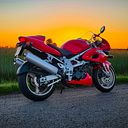 biuro_296618