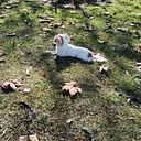 Milagros Scarafiocca