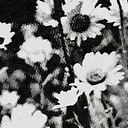 karmel_19