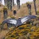 Patricia Alejandra Adaro