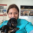 veterinariapyg