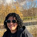 Dayanna Castro barrios