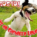 juangglldd