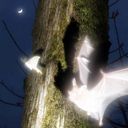 greedybat