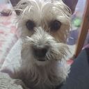 lucreciabeatriz