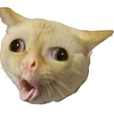 frutosmarinalberto