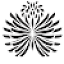 art_identidad