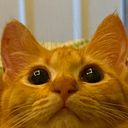 tahsin_atoshy