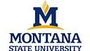 Montana State University