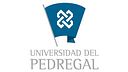 Universidad del Pedregal