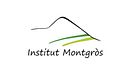 Institut Montgrós