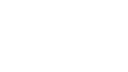 Girne American University