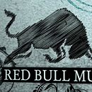 Red Bull Music Academy. Design, Motion Graphics, Advertising, Film, Video, and TV project by Oskar Domínguez - 08.24.2009