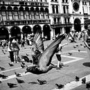 Black&White. Photograph project by Daniel Niño - 01.22.2010