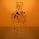 Spot Absolut Mandrin. Een project van  Ontwerp, Motion Graphics y 3D van rafael galvez lopez - 15.09.2010