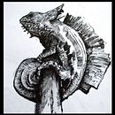animaladas. Design, Traditional illustration, Photograph, and Music project by Francisco Javier Gómez López - 03.15.2011