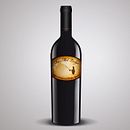 Pack par Rio Mel Lodge Wine. Design, and Traditional illustration project by Sol Lavilla - 06.07.2011