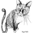 Cat . Ilustrasi tradisional proyek oleh Raquel Rodríguez García - 08.01.2011