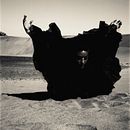 Sand...wind...bird. Photograph project by Ralitsa Zheleva - 09.13.2011