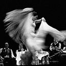 Flamenco. Un projet de Photographie de Pepa Comendeiro - 23.09.2011