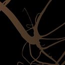 Vinya Sanfeliu. Design, Motion Graphics, Traditional illustration, Programming, Photograph, and Advertising project by 78_estudi_plural - 11.02.2011