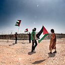 Visions from Palestine. Photograph project by david ballespi - 11.28.2011