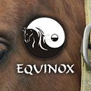 Centro Ecuestre Equinox. Design, Film, Video, TV, and Advertising project by Joaquín Javiel - 11.13.2011