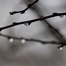 Natura. Photograph project by Marc Roca Codinachs - 01.10.2012