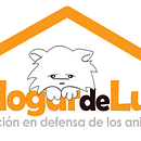 El Hogar de Pro-Vegan. Un progetto di Fotografia di Carolina Rojas - 20.03.2012