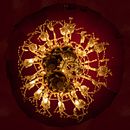 abstract circles. Photograph project by michael selley - 03.30.2012