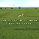 Colección Lucy in the sky with diamonds. Un proyecto de Diseño, Motion Graphics, Cine, vídeo, televisión, Fotografía, Música y Publicidad de RBPRO Producciones - 21.05.2012