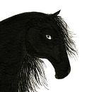 the black stallion. Un proyecto de Diseño e Ilustración tradicional de Coco Escribano - 03.06.2012