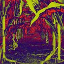 Naturaleza. Traditional illustration, and Photograph project by Juliette Jaimes - 08.17.2012