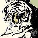 Tigre. Un progetto di Design e Illustrazione tradizionale di Elia Amador Godínez - 09.03.2013