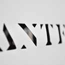 Logo Pantera. Design project by Cynthia Corona - 04.04.2013